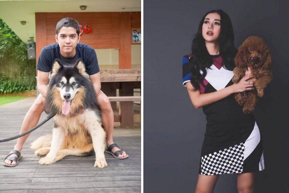 Dikomen Netizen, 10 Artis Muslim Ini Punya Peliharaan Anjing