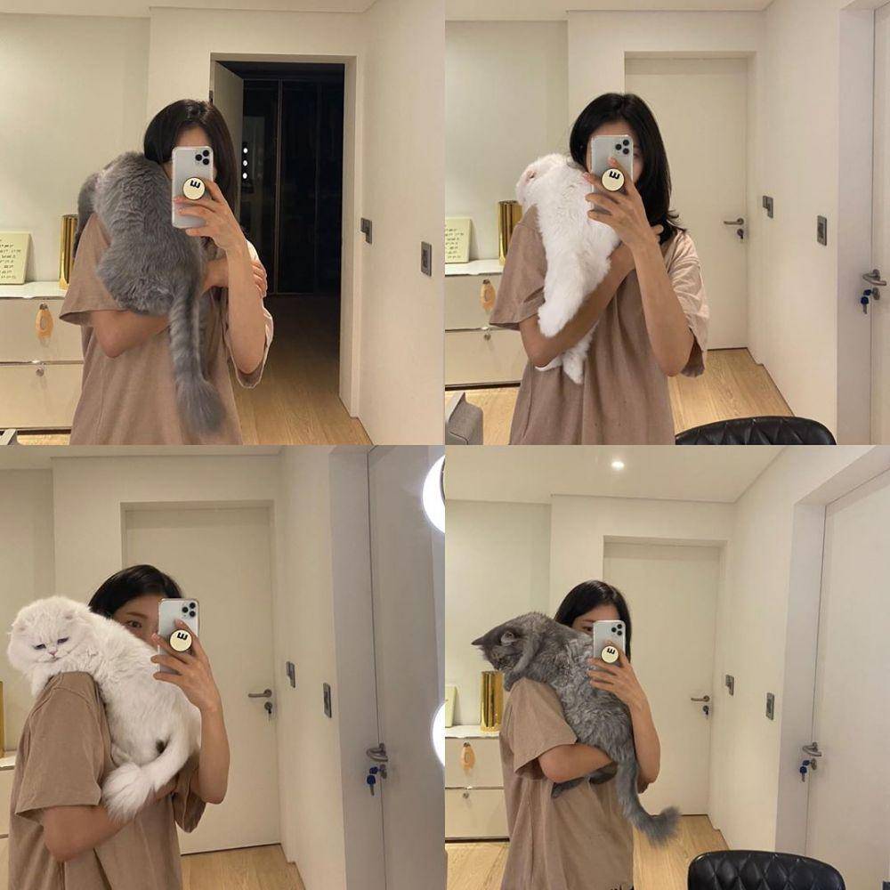 instagram.com/ssinz7