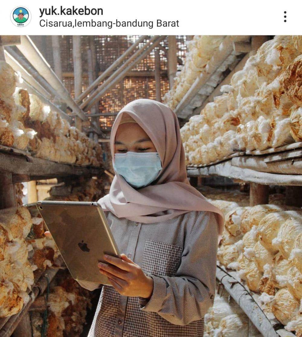 IDN Times/Pusdik Kementan