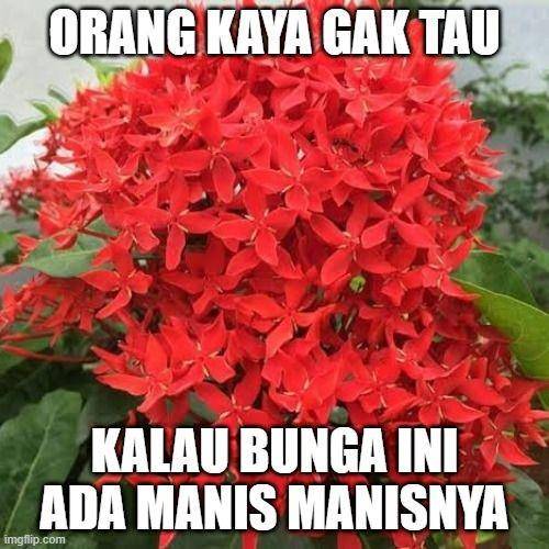 Twitter.com/djaganegaraa