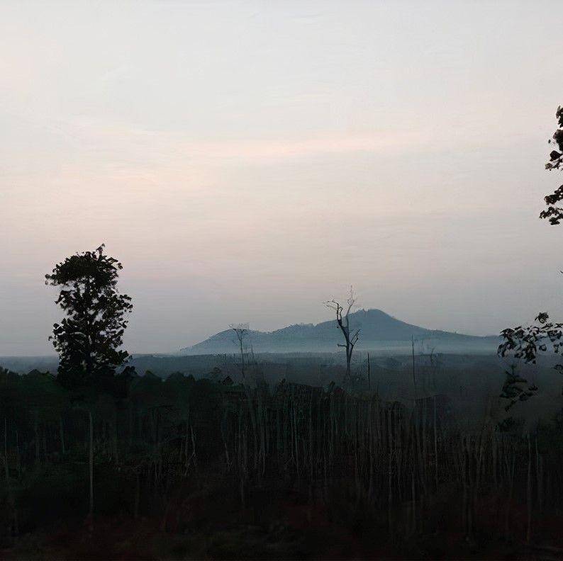 Potret Gunung Padai (twitter.com/Banua_Berau)