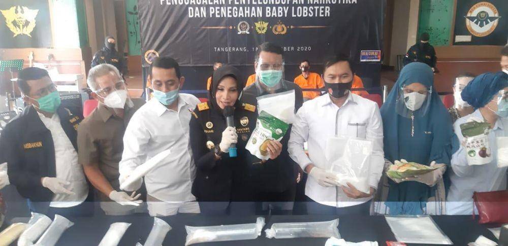 Dirjen Bea Cukai mengamankan eksor benih lobster tujuan Vietnam di Bandara Soekarno Hatta (Dok.Istimewa)