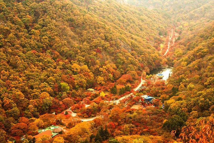 Bikin Tersihir, 10 Top Spot Terbaik Menyaksikan Autumn Leaves Korea