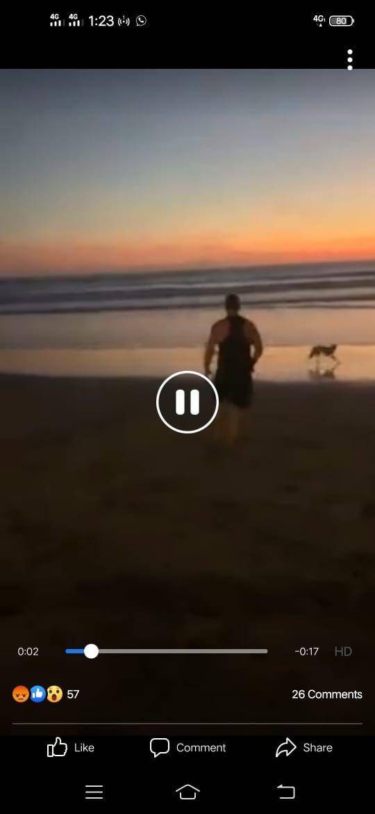 Seorang warga negara asing memukul anjing di Pantai Batu Belig (Dok.IDN Times/screenshot)