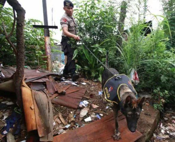 Anggota kepolisian melakukan penyisiran saat operasi gabungan di kawasan Berlan, Matraman, Jakarta. (ANTARA FOTO/Rivan Awal Lingga)