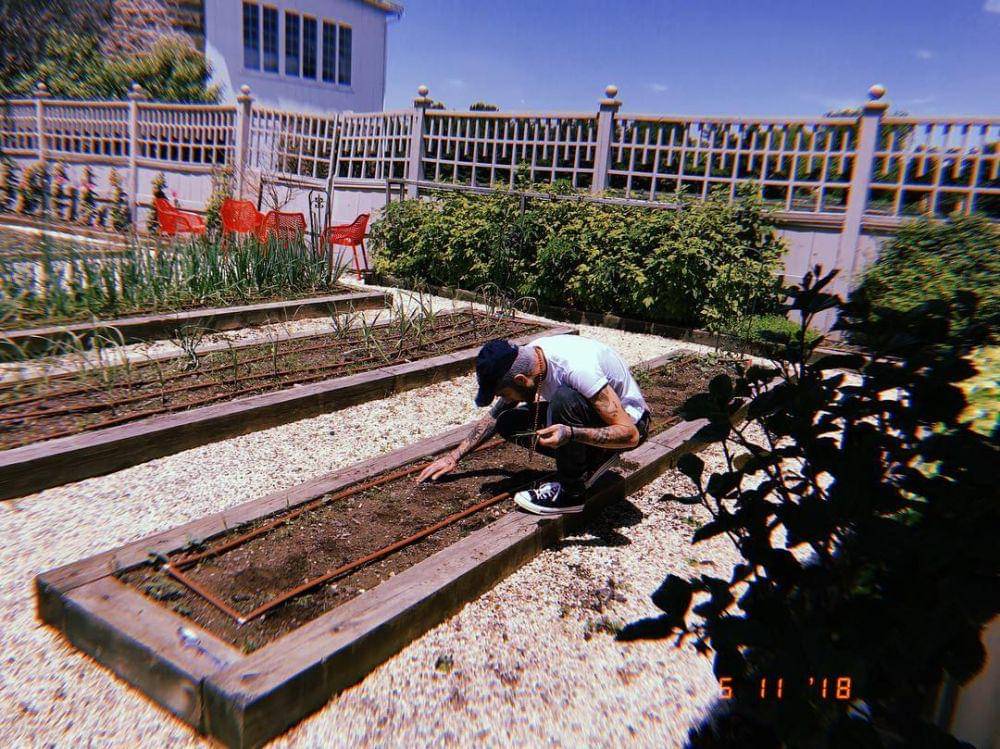 instagram.com/zayn