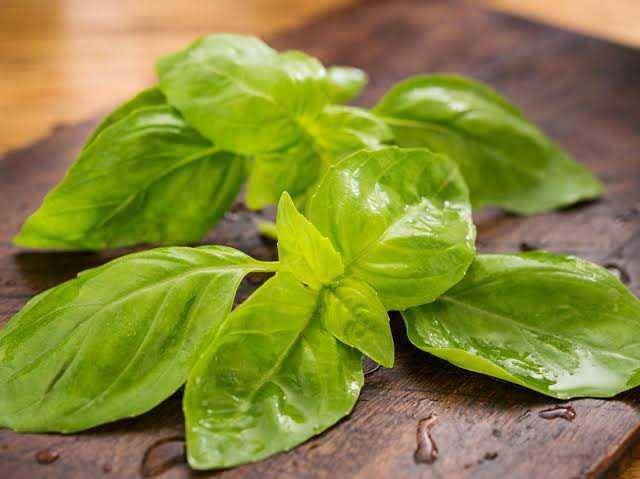 thespruceeats.com