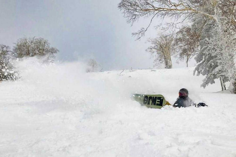 instagram.com/david8js