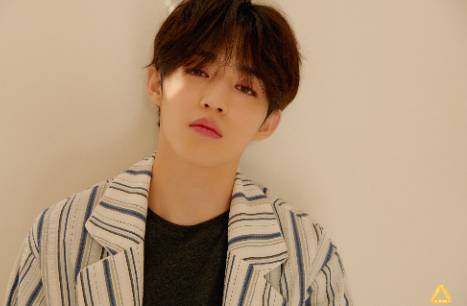 twitter.com/pledis_17