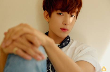 twitter.com/pledis_17