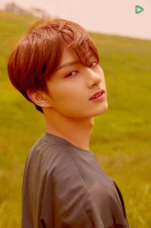 twitter.com/pledis_17