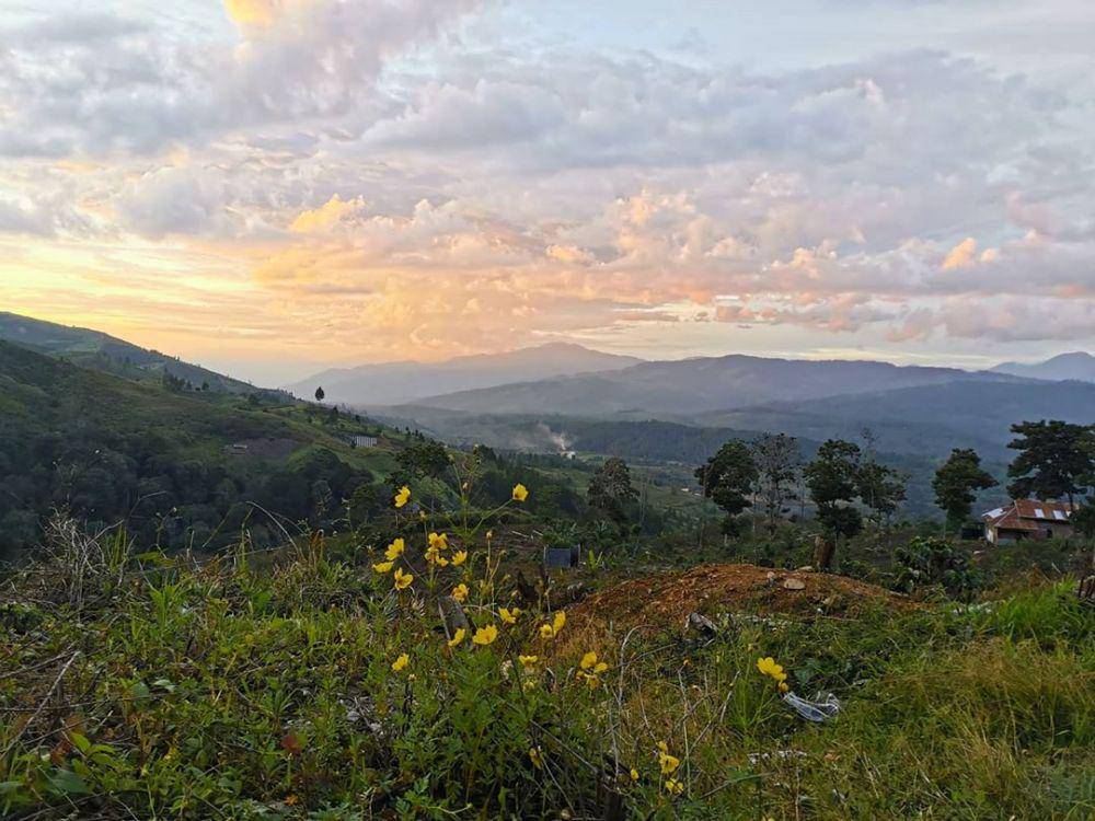 Taman Nasional Gunug Leuser (https://www.instagram.com/p/B9bveDiAGPo/)