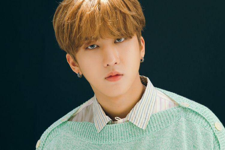 Straykidsupdate.tumblr.com