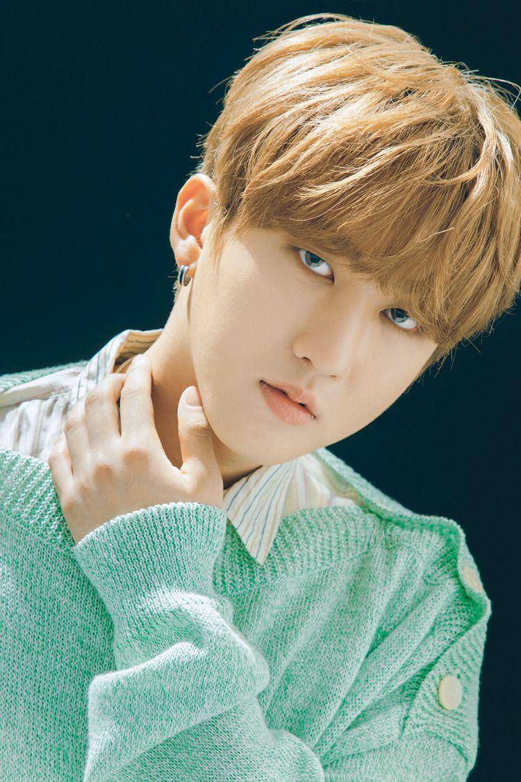 Straykidsupdate.tumblr.com
