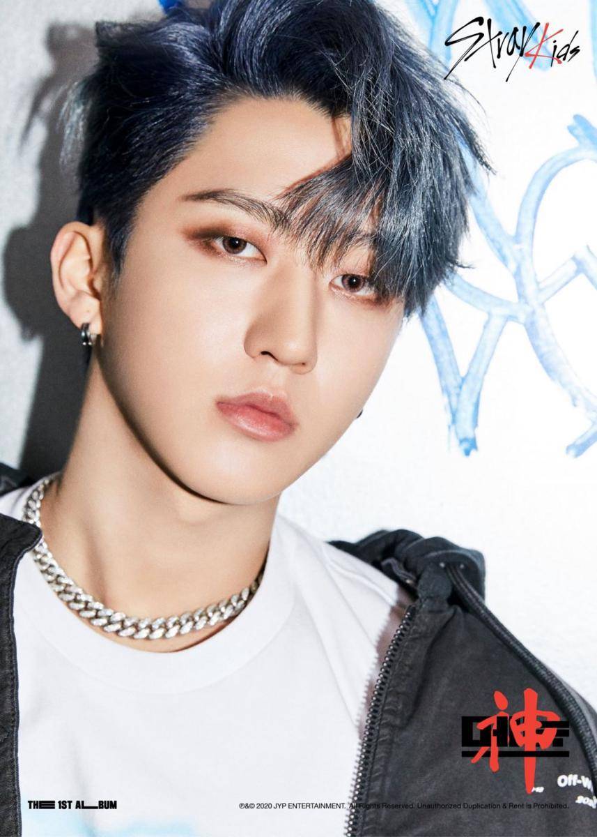 Straykidsupdate.tumblr.com