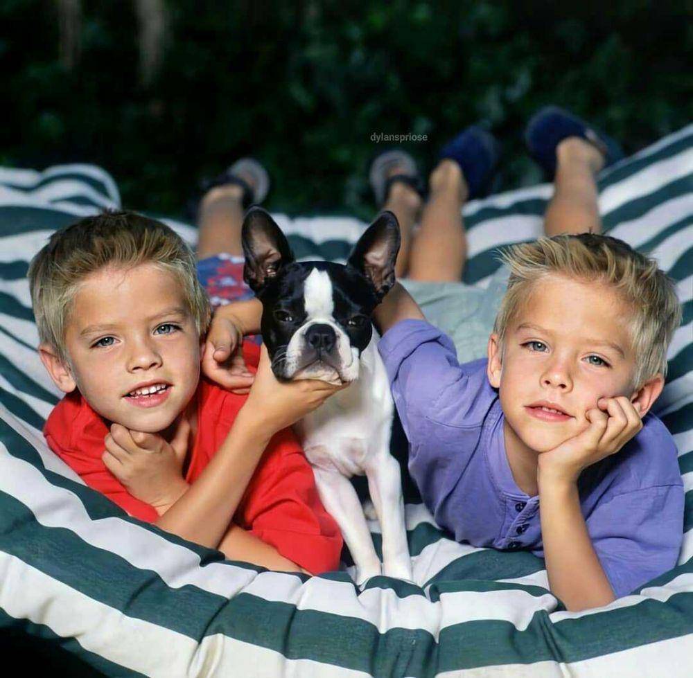 instagram.com/dylanspriose