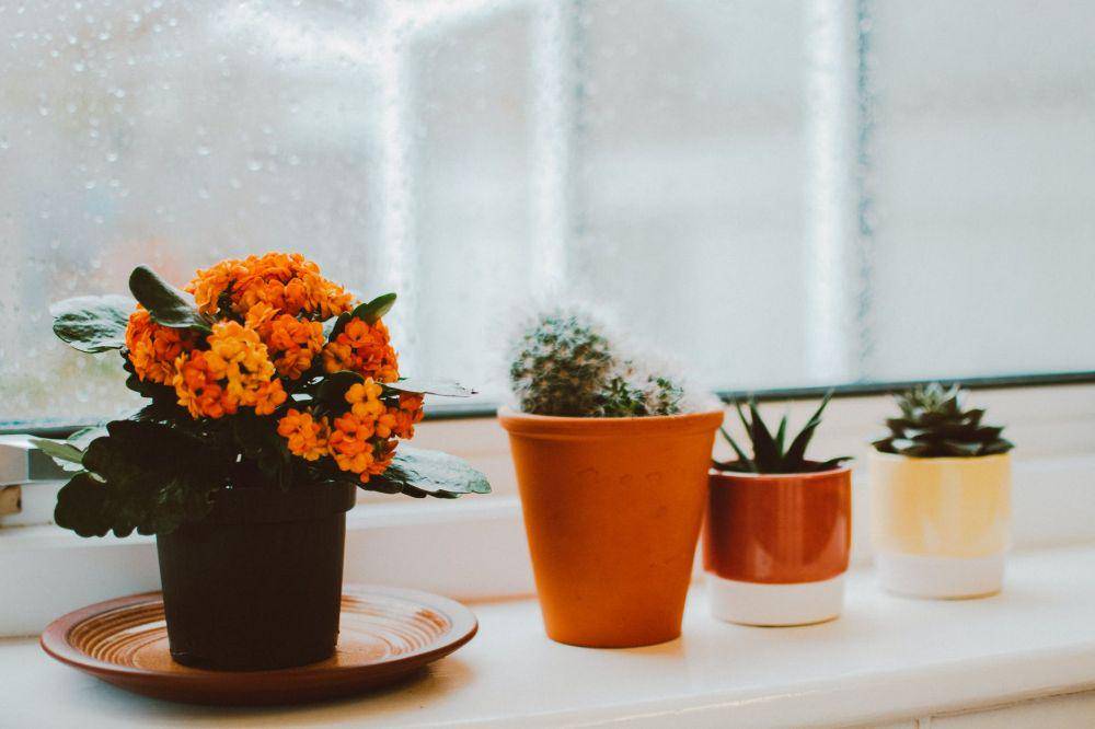 pexels.com/@ Lisa Fotios