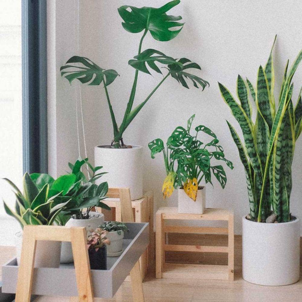 eplanters.com