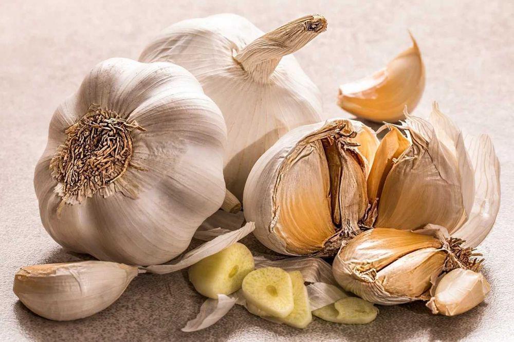 Bisa Turunkan Risiko Penyakit Kronis, Inilah 10 Manfaat Bawang Putih