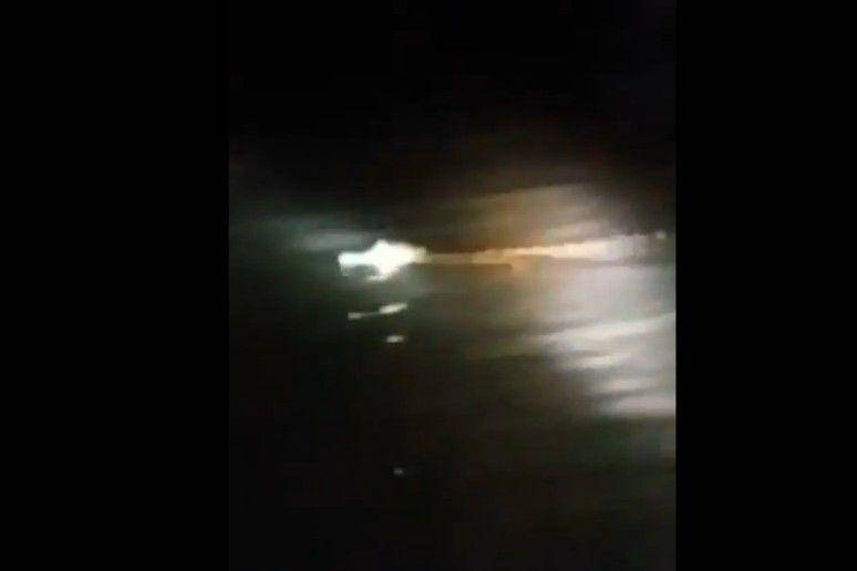 Penampakan Buaya Putih di Kali Brantas pada Kamis Kliwon atau pada Rabu, 30 September 2020 (Instagram.com/smart.gram)
