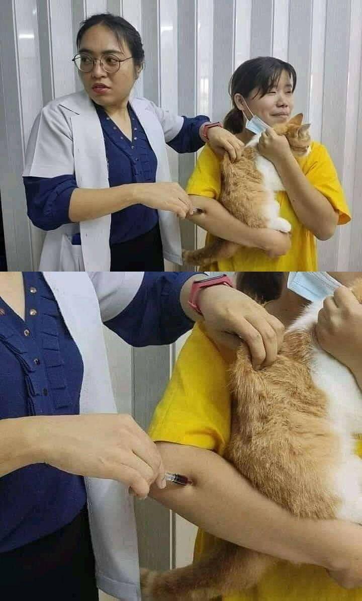 Instagram.com/memecomic.id
