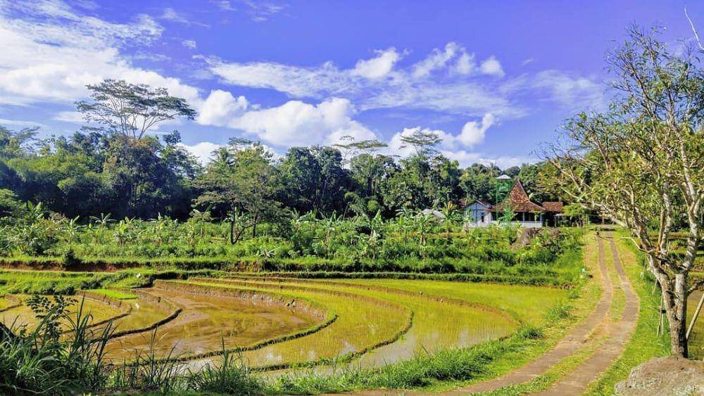 instagram.com/gunungapipurba