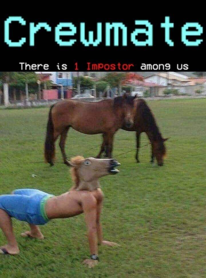 Instagram.com/memengakakkocak123