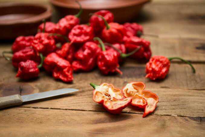 Pedas Ekstrem, Ini 5 Olahan Berbahan Cabai Carolina Reaper