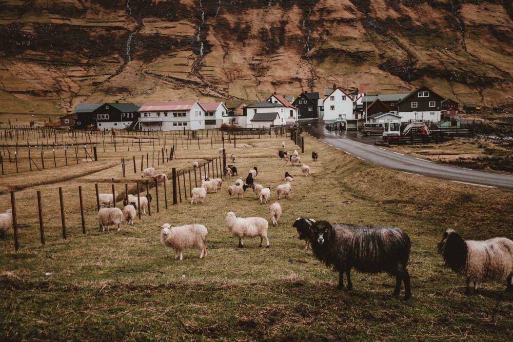 Unsplash/Annie Spratt
