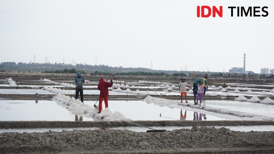 Jerit Petani Garam Jeneponto saat Pandemik, Panen Menumpuk Tak Terbeli