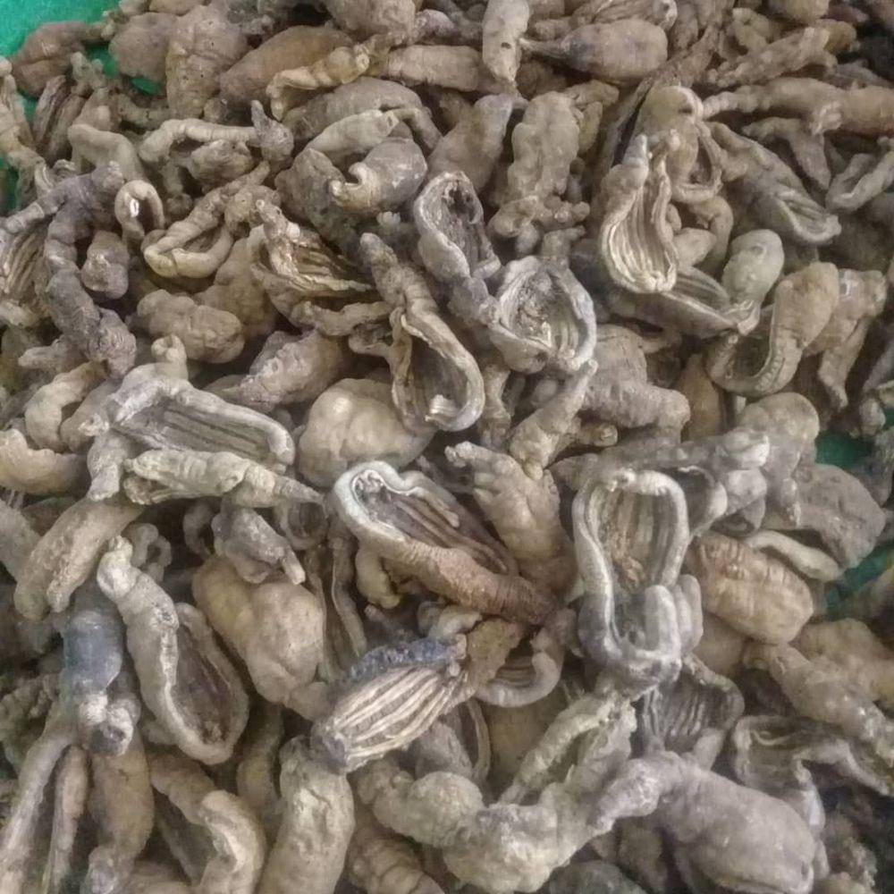 instagram.com/kerupukteripang_gresik