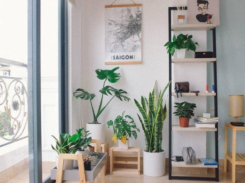 10 Ide Dekorasi Ruangan dengan Tanaman Hijau, Bikin Adem!