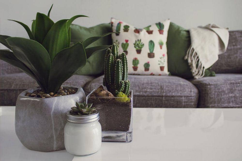 pexels.com/Designecologist