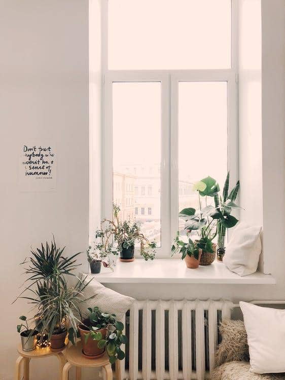 pexels.com/Daria Shevtsova