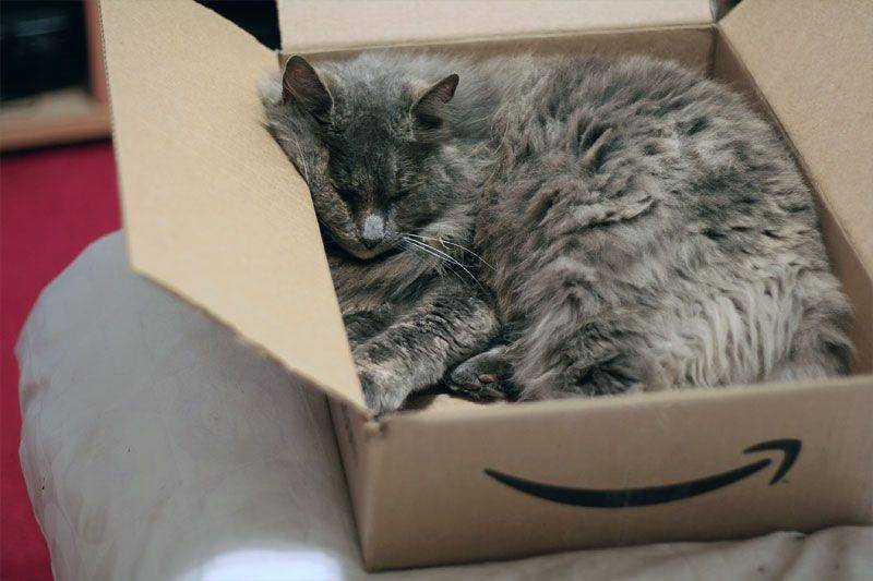thepurringtonpost.com