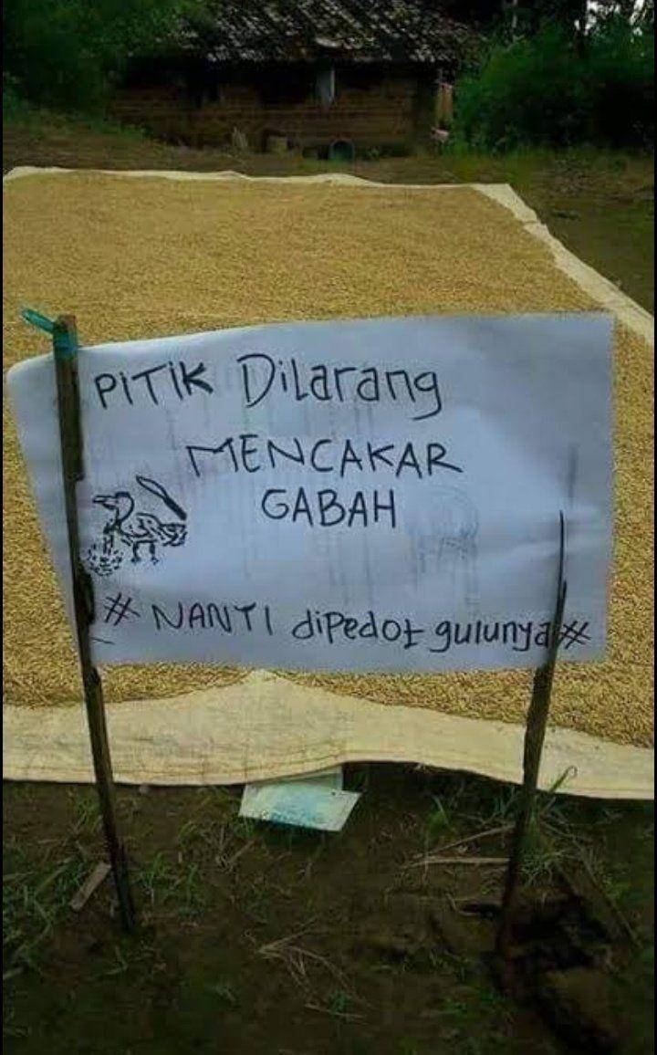 Twitter.com/bosan_bilang