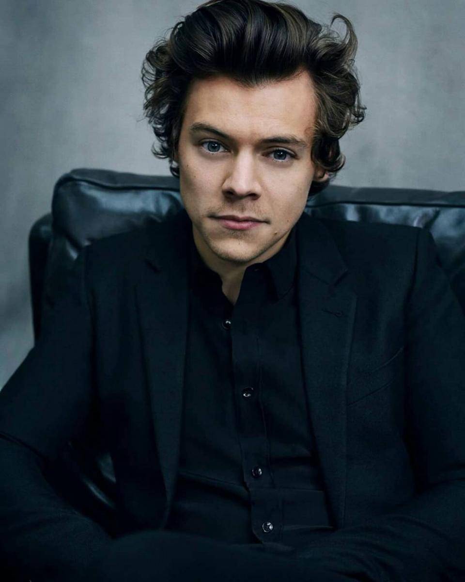 instagram.com/thisharrystyles