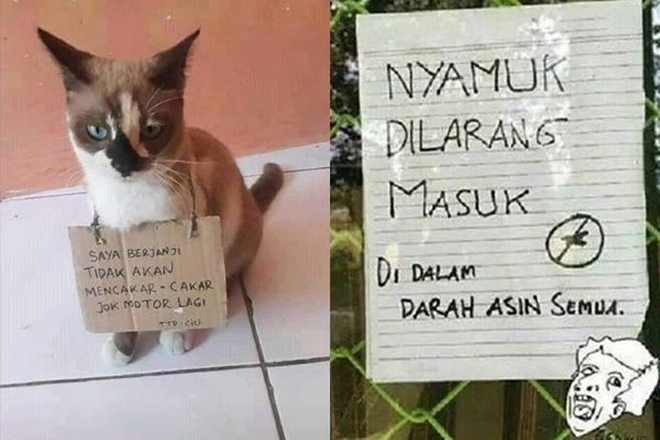 10 Tulisan Larangan untuk Hewan Ini Bikin Ngakak, Emang Ngerti?