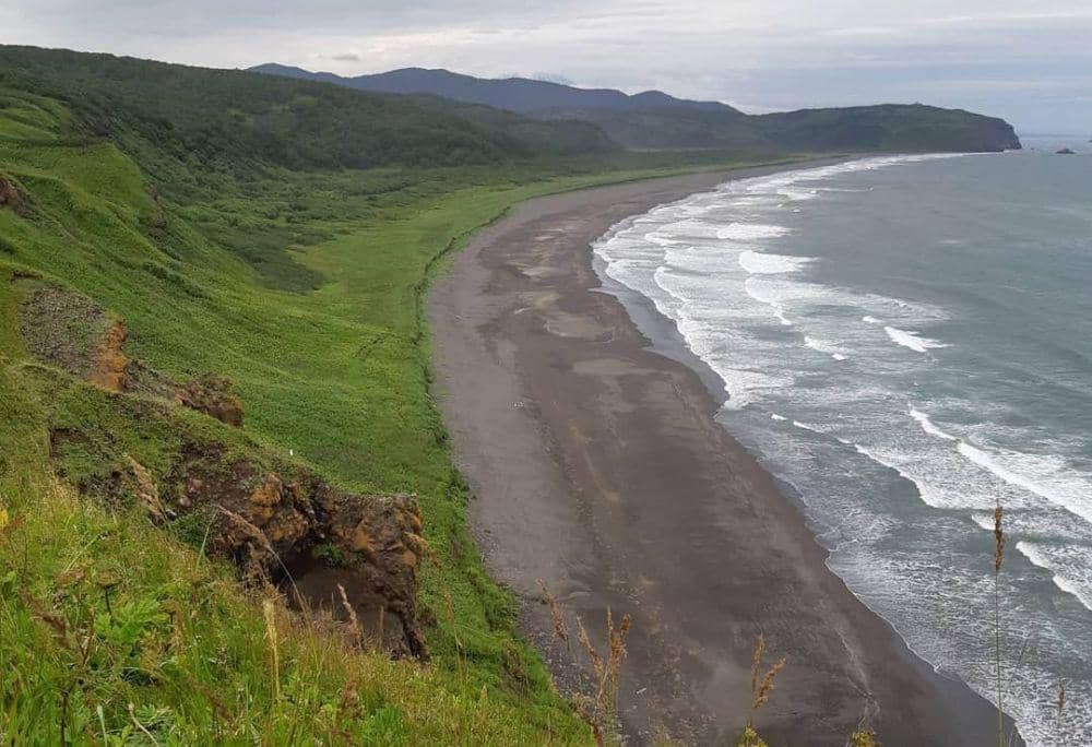 Polusi di Kamchatka, Rusia Akibatkan Kematian Massal Biota Laut