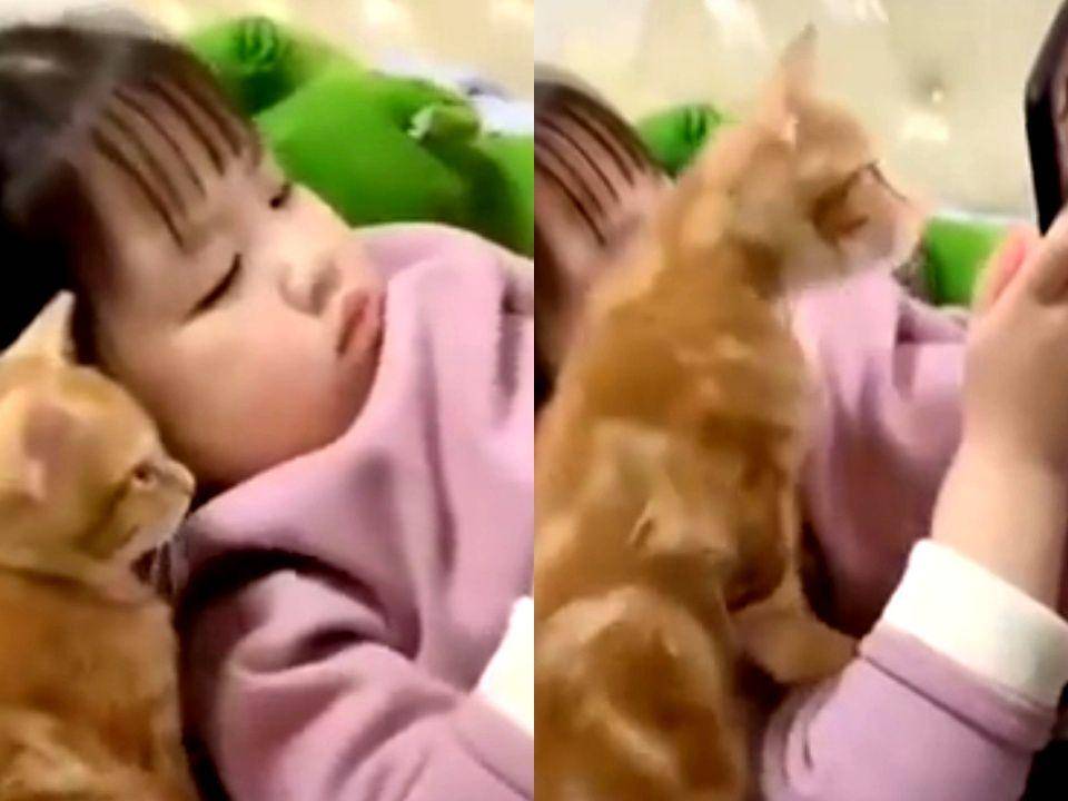 Instagram.com/pet_indo