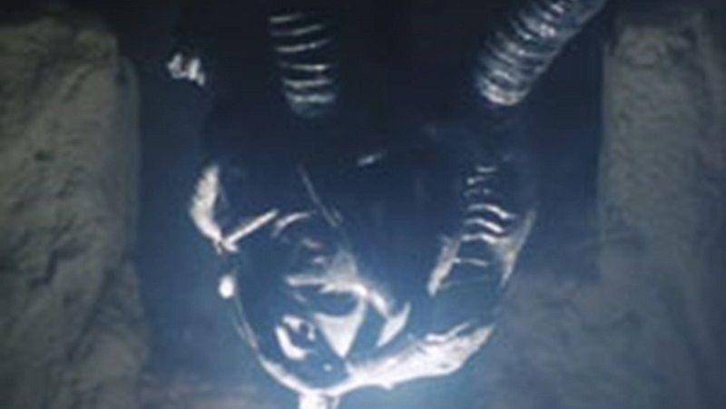 Toei/Kamen Rider Black RX