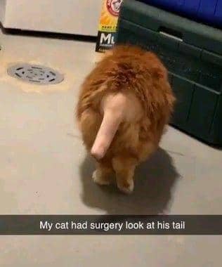 twitter.com/beccameraki