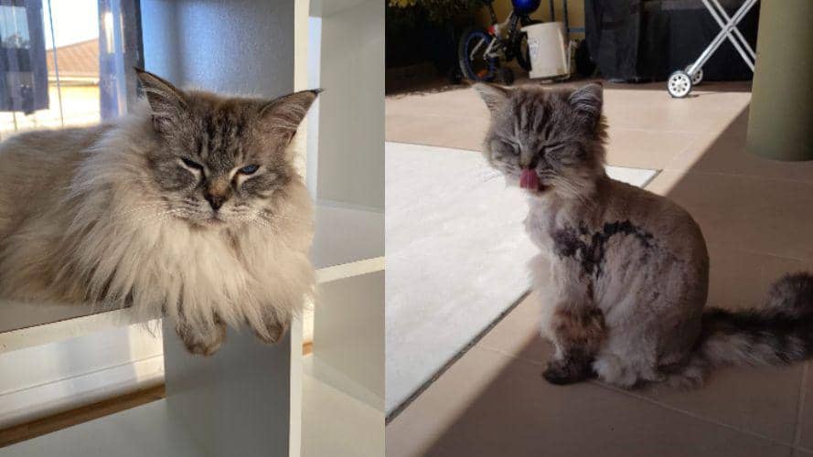 twitter.com/countg0th