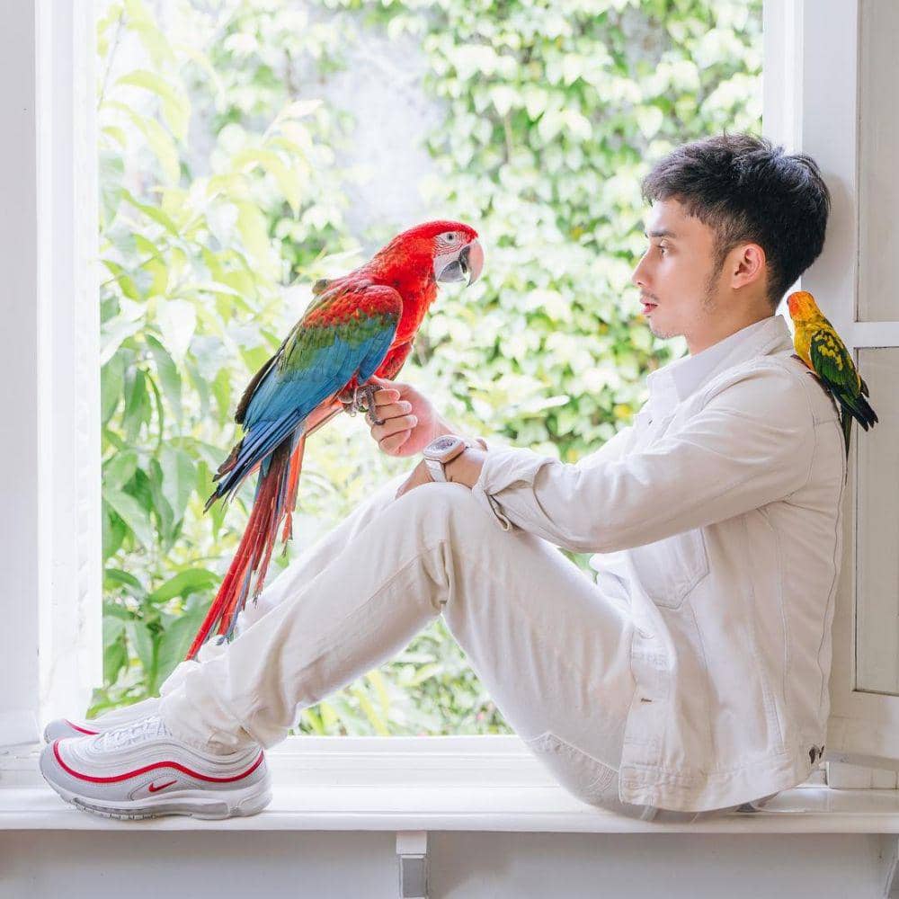 Instagram.com/alshadahmad