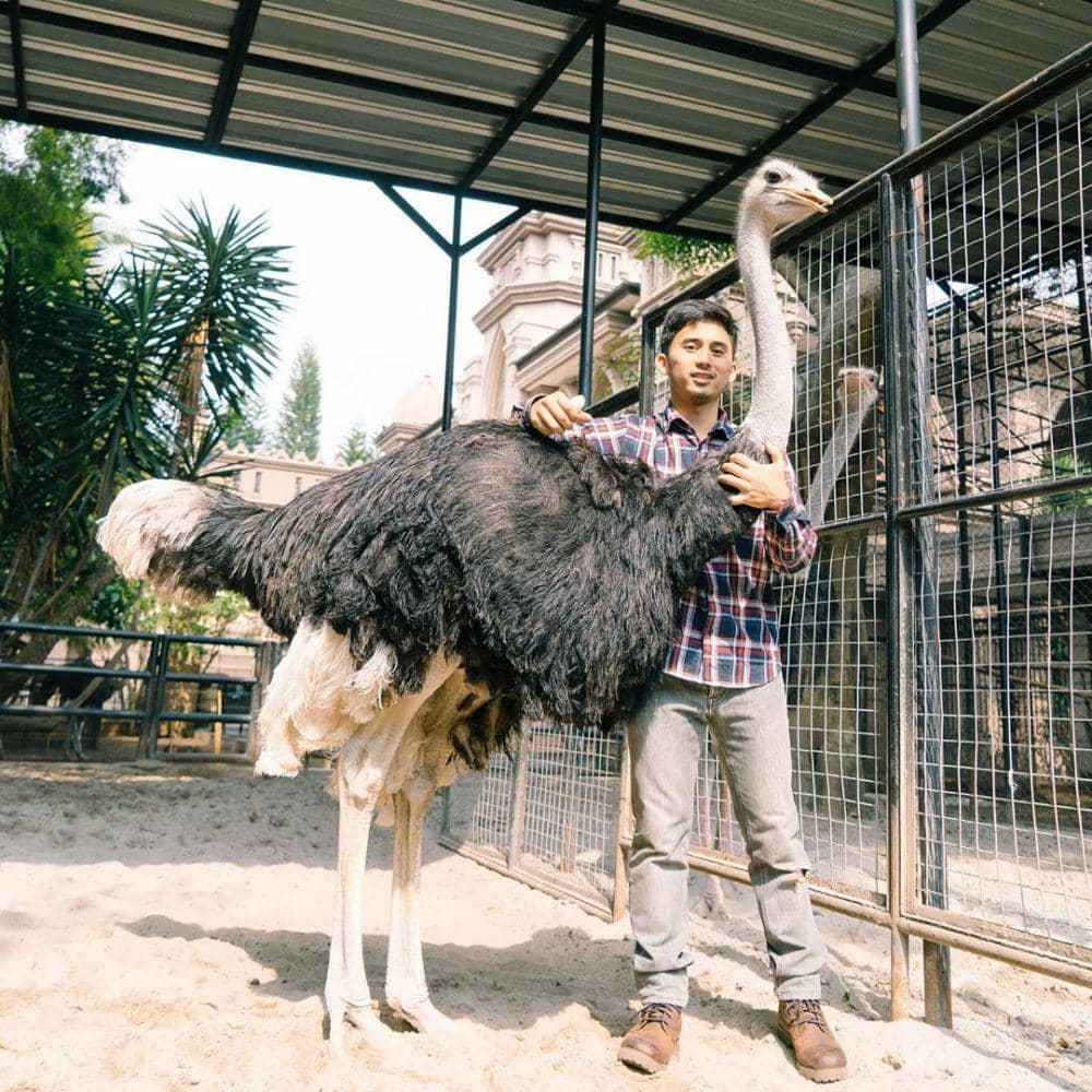 Instagram.com/alshadahmad