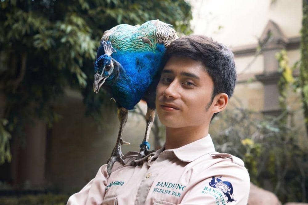 Instagram.com/alshadahmad