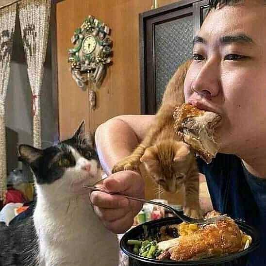 instagram.com/kuceng_viral