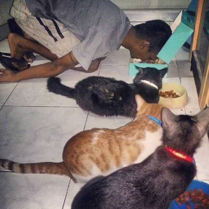 instagram.com/kucingseru