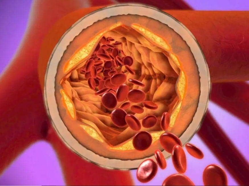 intelligentliving.co