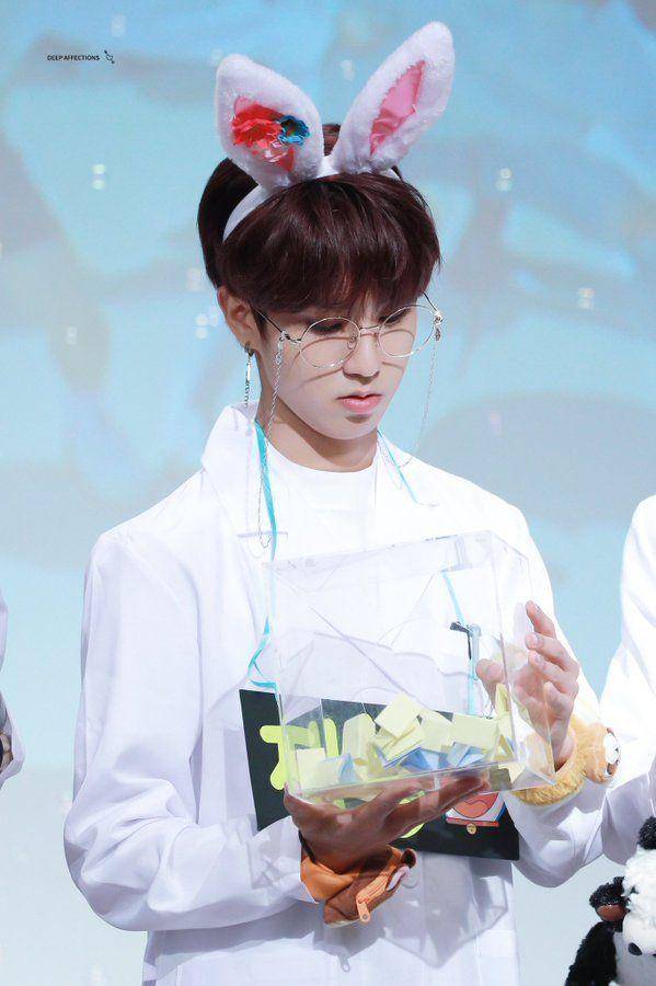 Straykidsupdate.tumblr.com